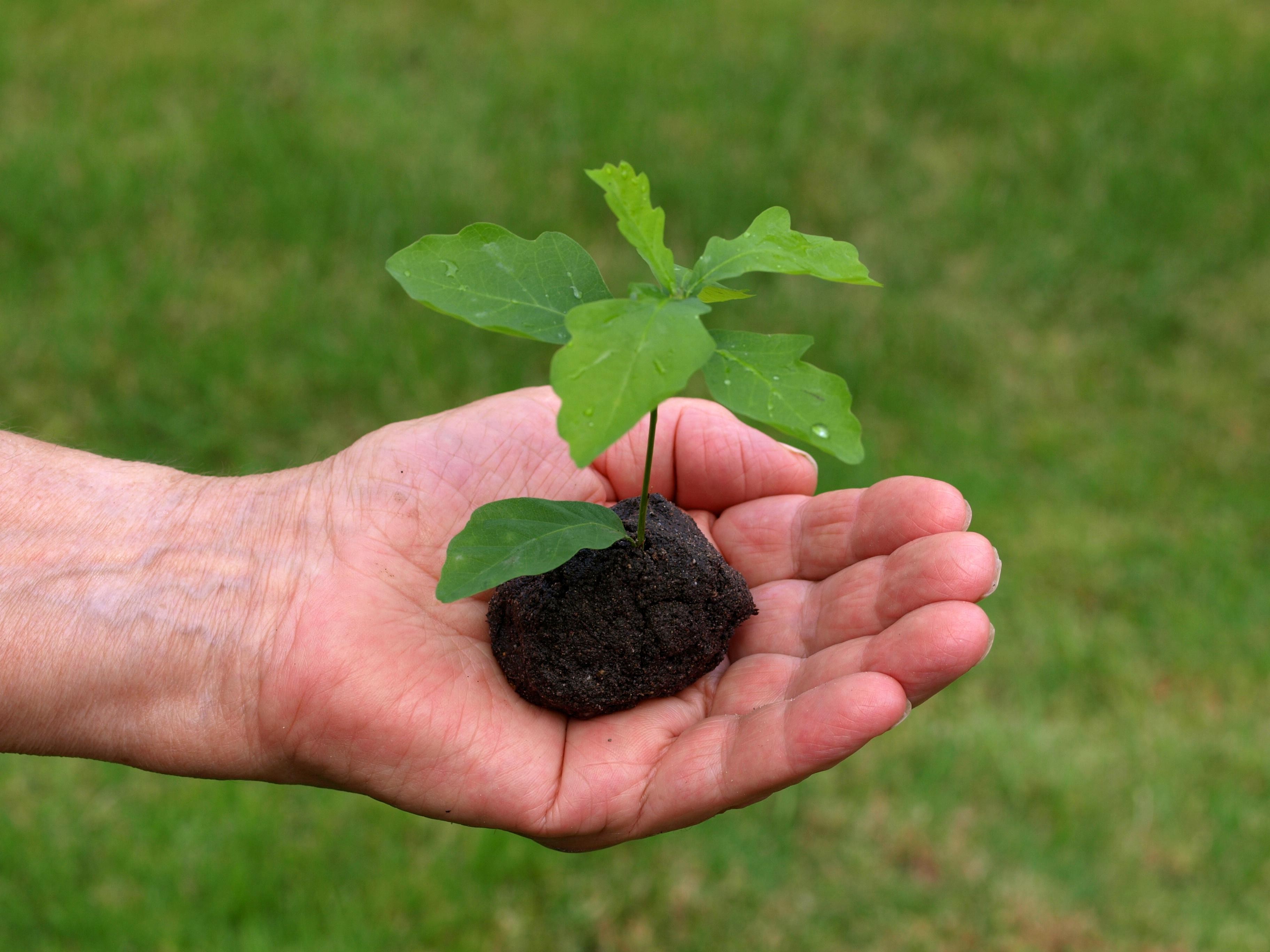 a new life