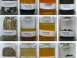 oil and char